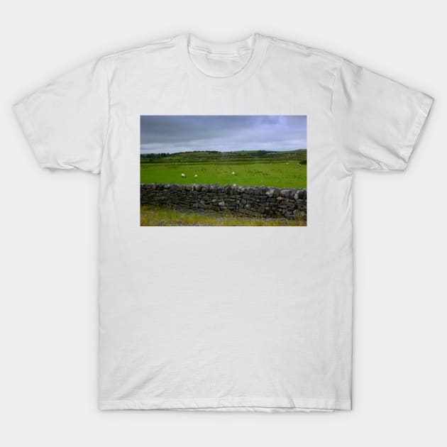 Ireland T-Shirt by annalisa56